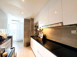 The Trumps (D14), Condominium #533698761